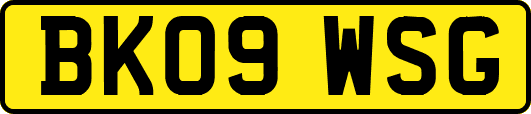 BK09WSG