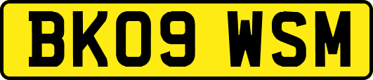 BK09WSM