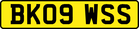 BK09WSS