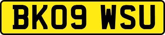 BK09WSU