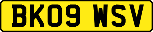 BK09WSV