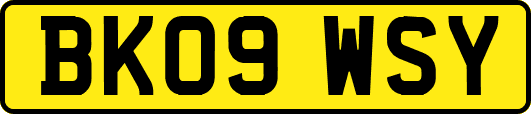 BK09WSY