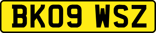 BK09WSZ