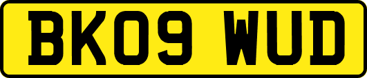 BK09WUD
