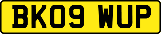 BK09WUP