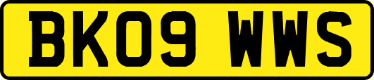 BK09WWS
