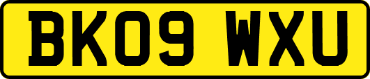 BK09WXU