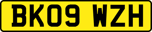 BK09WZH