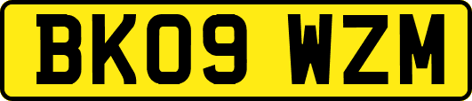 BK09WZM