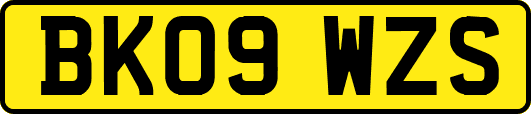 BK09WZS