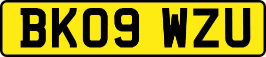 BK09WZU