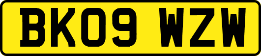 BK09WZW