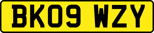 BK09WZY