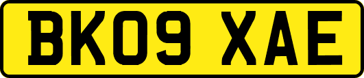 BK09XAE