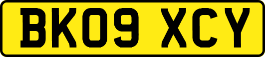 BK09XCY