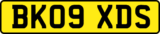 BK09XDS