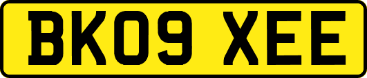 BK09XEE