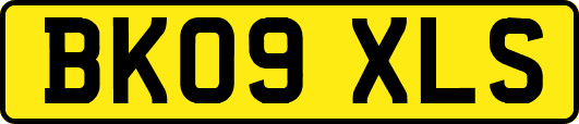BK09XLS