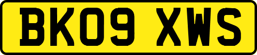 BK09XWS