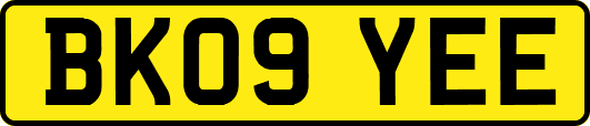 BK09YEE