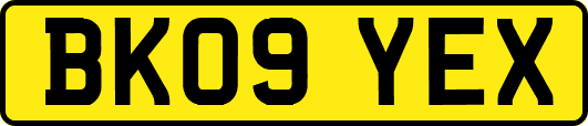 BK09YEX