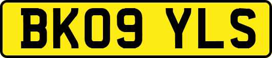 BK09YLS