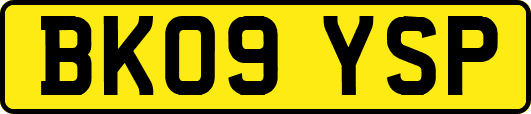 BK09YSP