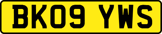 BK09YWS