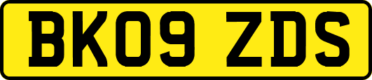 BK09ZDS