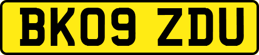BK09ZDU