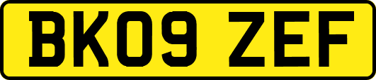 BK09ZEF