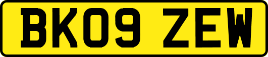 BK09ZEW