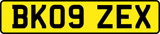 BK09ZEX