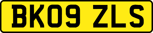 BK09ZLS