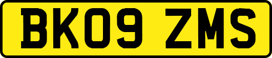 BK09ZMS