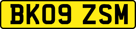 BK09ZSM