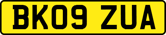 BK09ZUA