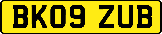 BK09ZUB
