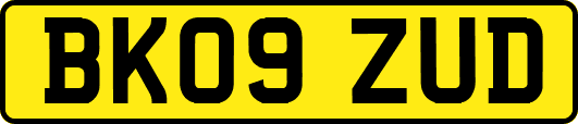 BK09ZUD