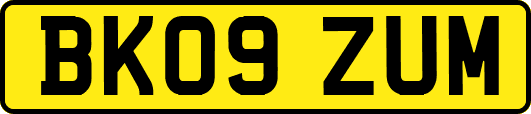 BK09ZUM