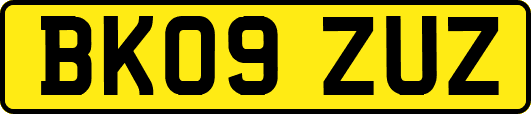 BK09ZUZ