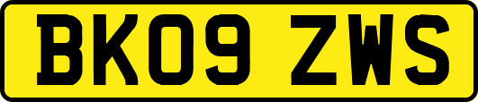 BK09ZWS