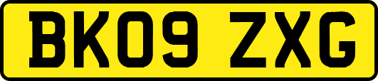 BK09ZXG