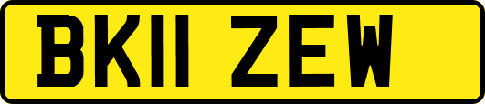 BK11ZEW