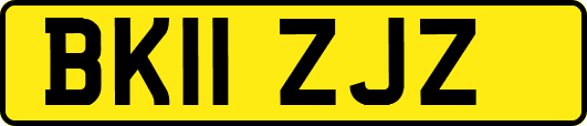 BK11ZJZ