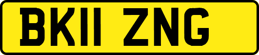 BK11ZNG