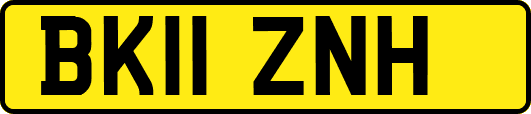 BK11ZNH