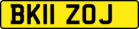 BK11ZOJ