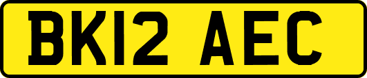 BK12AEC