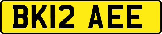 BK12AEE